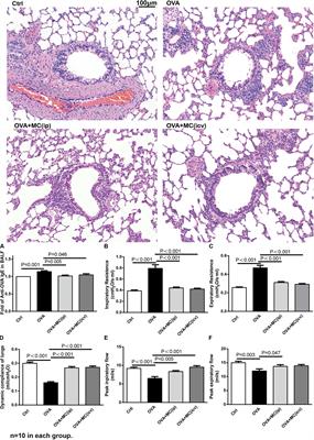 Asthmatic Airway Vagal Hypertonia Involves Chloride Dyshomeostasis of Preganglionic Neurons in Rats